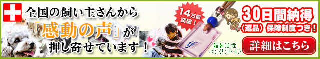 むつう整体院の木村仁先生のイフペンダント（アディオイフ）は、犬用・猫用のペンダントです。